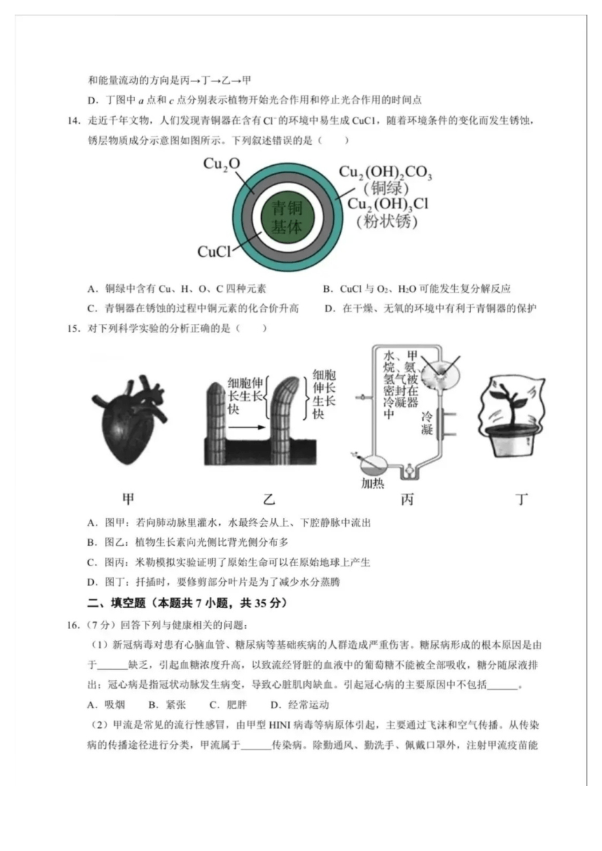 浙江省宁波市余姚市实验学校2024年九年级科学中考一模试卷（PDF 含答案）