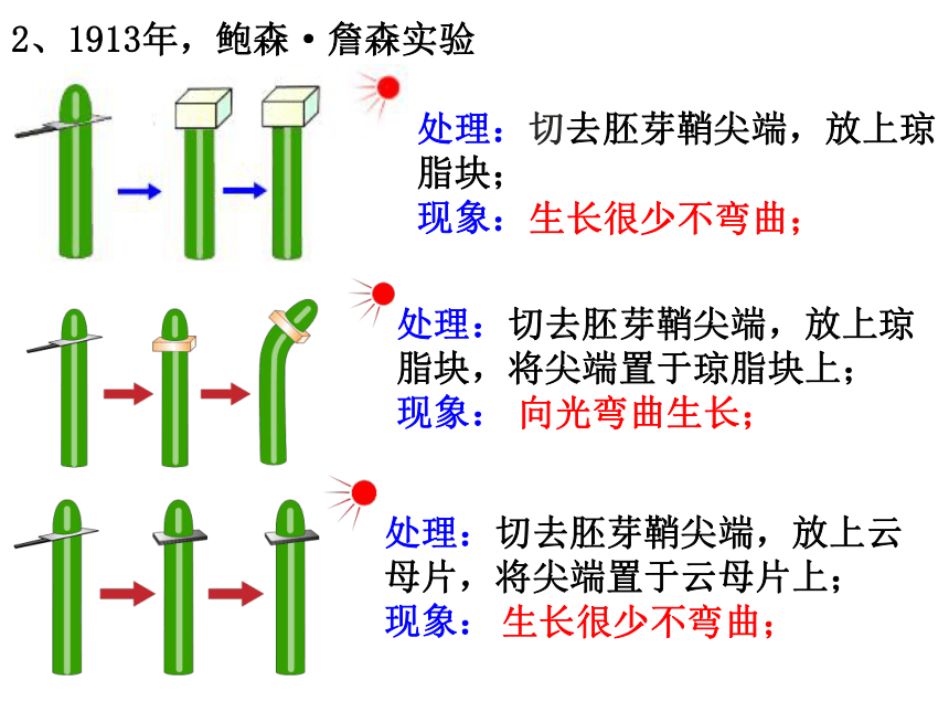 4.1植物生长素课件(共42张PPT) 2023-2024学年高二上学期生物苏教版选择性必修1