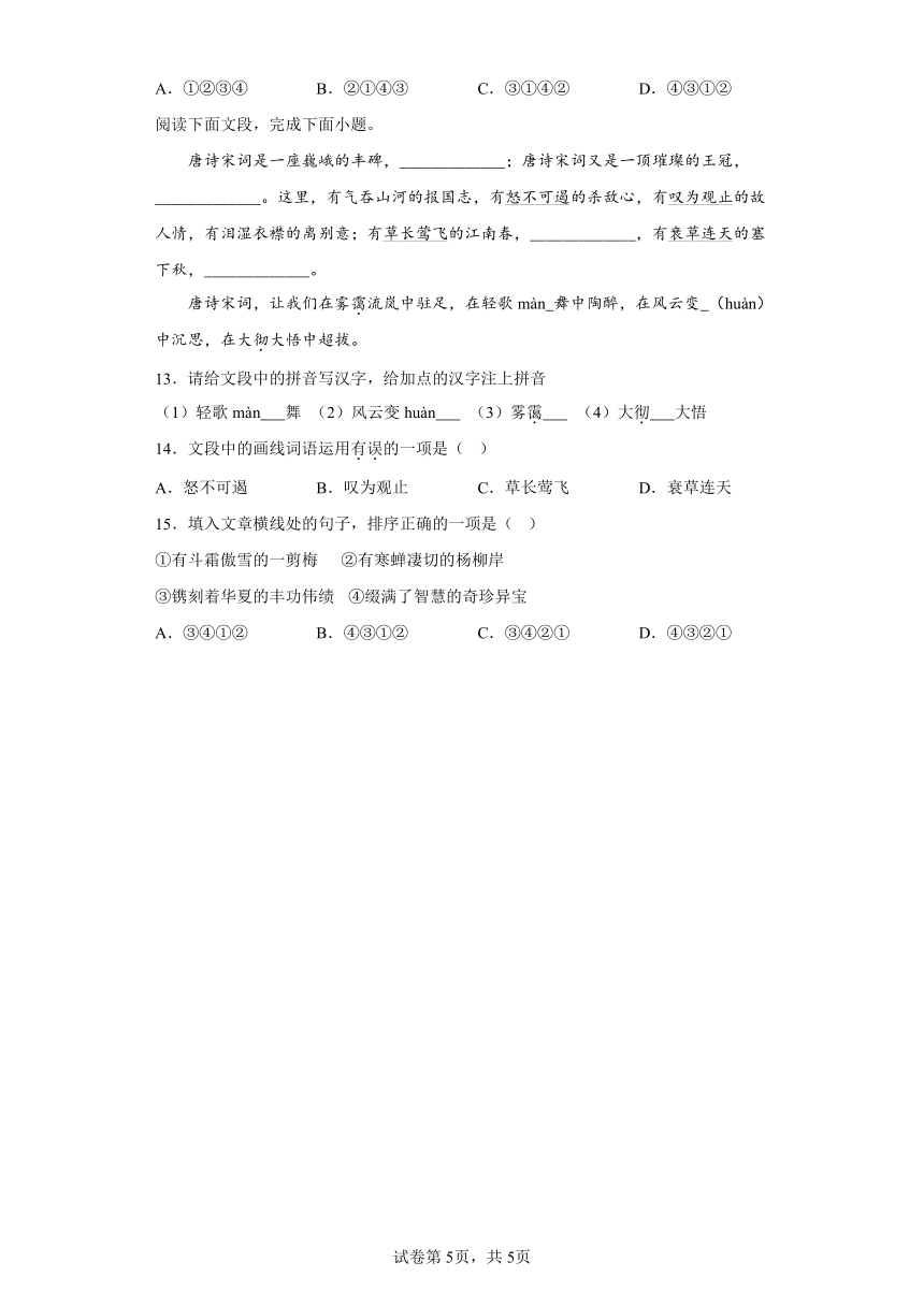 2023年重庆市中考语文真题A卷—基础知识综合（含解析）