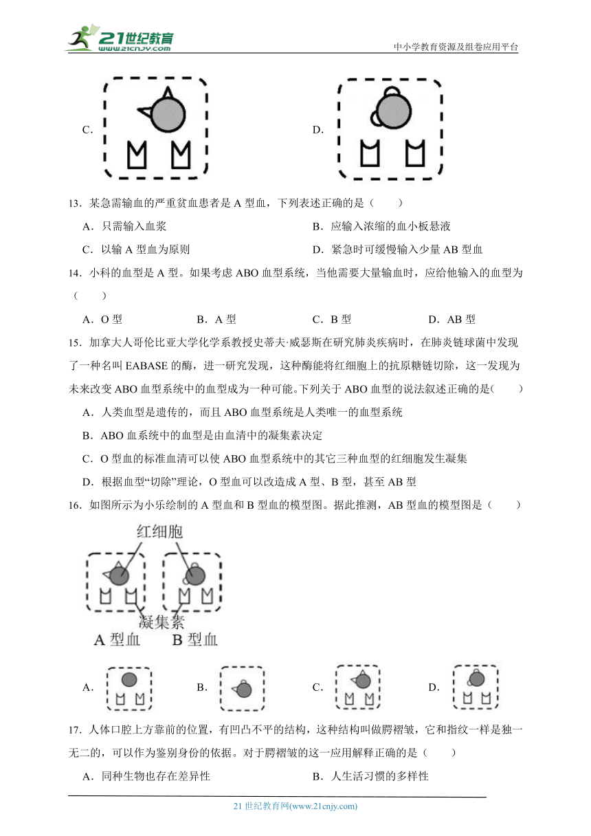 华师大版科学七上期末专题复习： 生物的多样性（含答案）