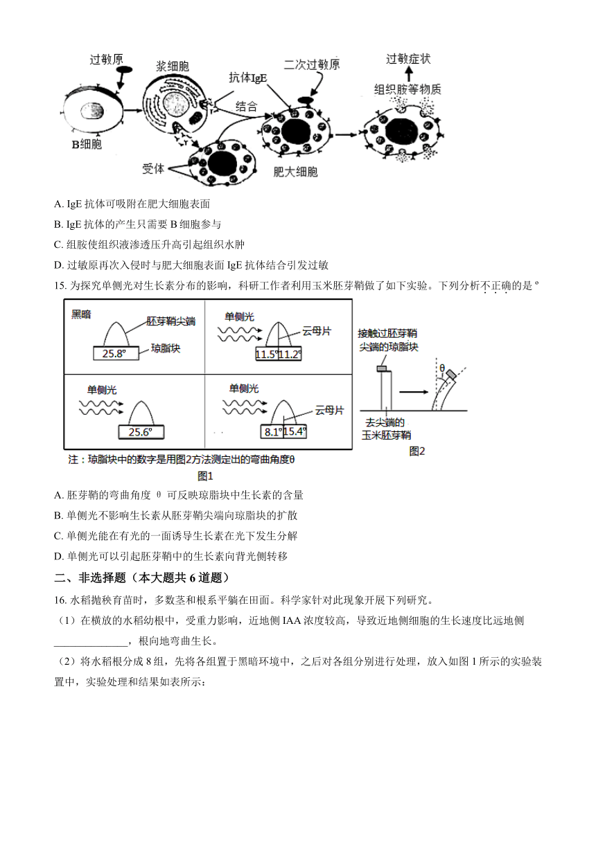 2023-2024北京广渠门中学高二（上）期中生物（教师版）（有解析）