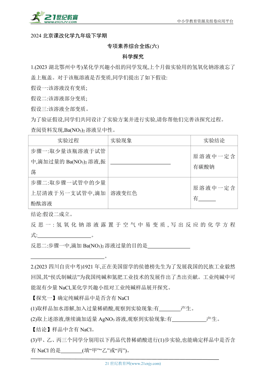 2024北京课改化学九年级下学期课时练--专项素养综合全练（六）   科学探究