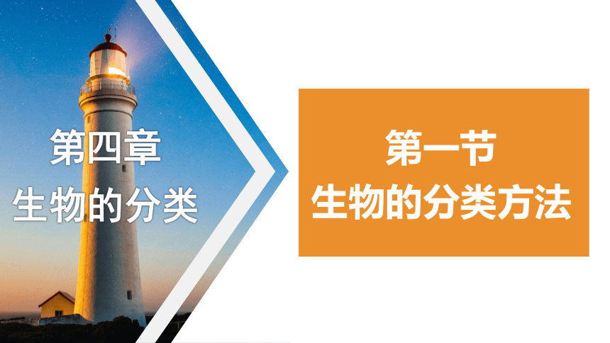 2.4.1生物的分类方法 课件(共21张PPT) 2023-2024学年济南版生物七年级上册