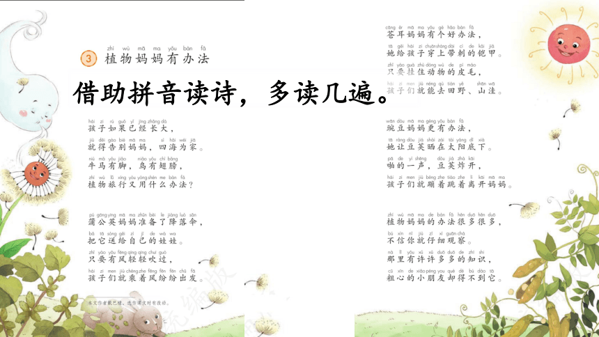 3 植物妈妈有办法 课件(共30张PPT)