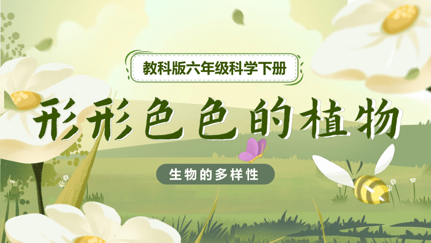 【新课标】2.3 形形色色的植物 课件（26张PPT）