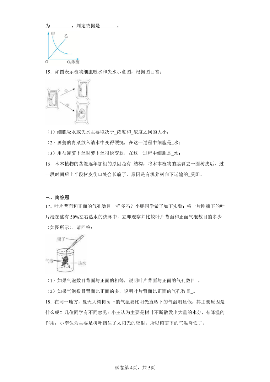 第4章 植物的物质和能量的转化  综合练习（含解析）