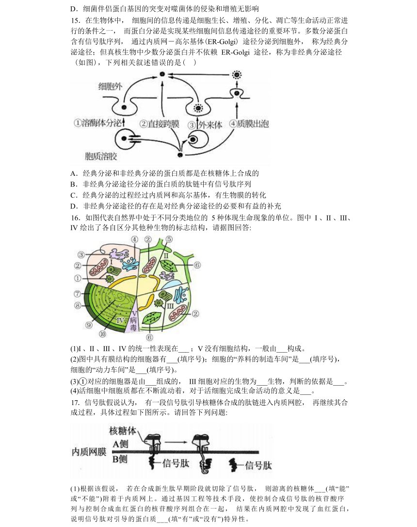 3.2 细胞器之间的分工合作 综合练习 -高一生物学（人教版2019必修1）