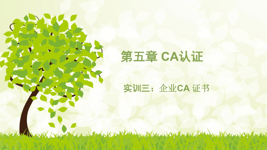 中职《电子商务综合实训》（劳保版）第五章 CA认证 实训3企业CA 证书 同步课件 (共19张PPT)