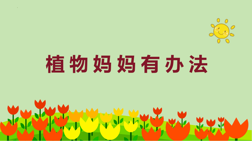 3 植物妈妈有办法 课件(共20张PPT)