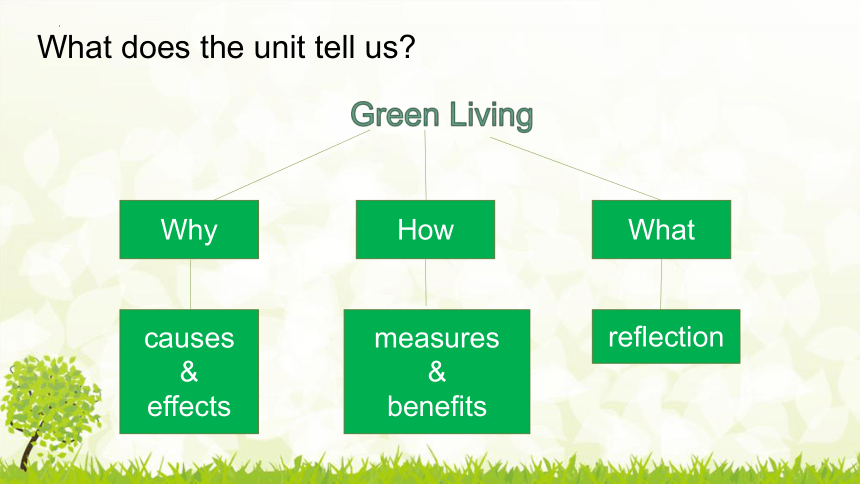 北师大版(2019)必修第三册Unit8 Green living单元主题词汇复习课件(共22张PPT)