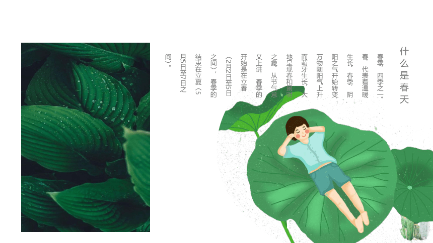 美术社团课程《小燕子风铃》小学延时服务 课件 (19张PPT)