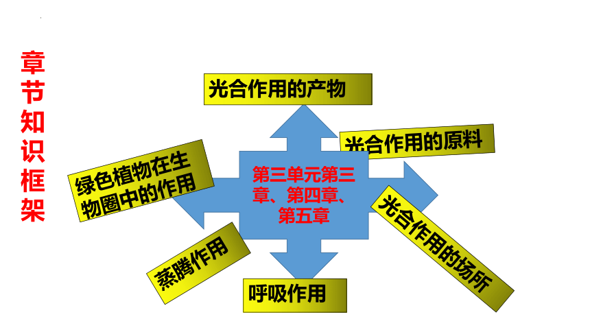 第三单元第三、四、五章章末复习-八年级生物上册同步精品课堂(冀少版)(共41张PPT)