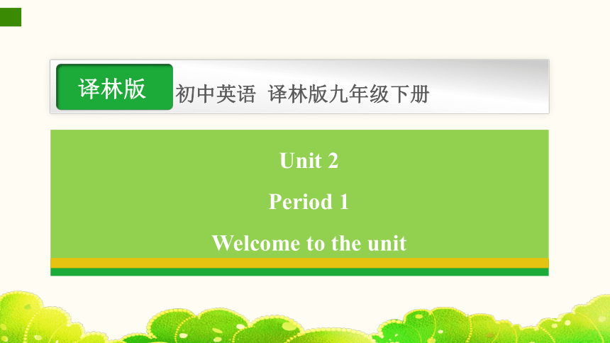 Unit 2 Great people Welcome to the unit课件(共26张PPT) 2023-2024学年牛津译林版英语九年级下册