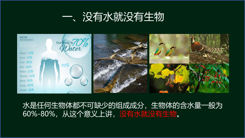 8.23.1生物的生存依赖一定的环境课件2023--2024学年北师大版生物八年级下册(共30张PPT)