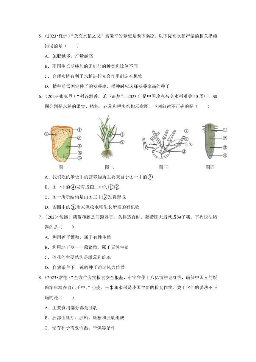 专题3绿色植物——2022-2023年湖南省中考生物试题分类（含解析）