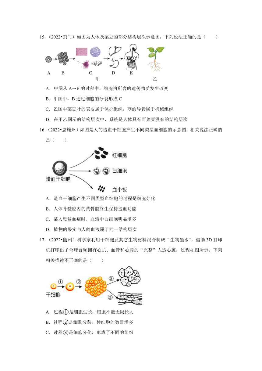 专题1生命系统的结构层次——2022-2023年湖北省中考生物试题分类（word版+解析版）