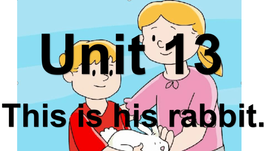 Unit 13 This is his rabbit.Lesson 3  课件(共15张PPT)