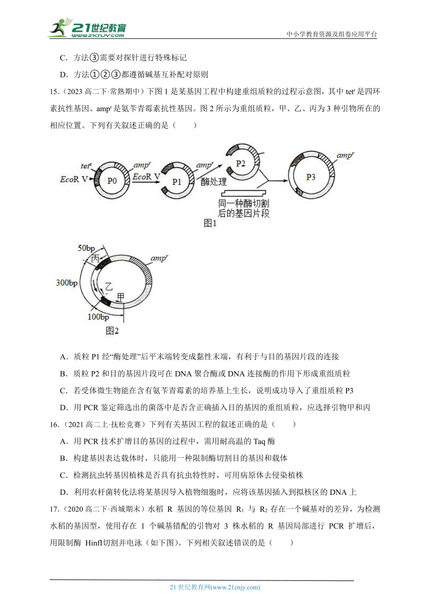 【备考2024】生物二轮复习专题16：基因工程专项练习（解析版）