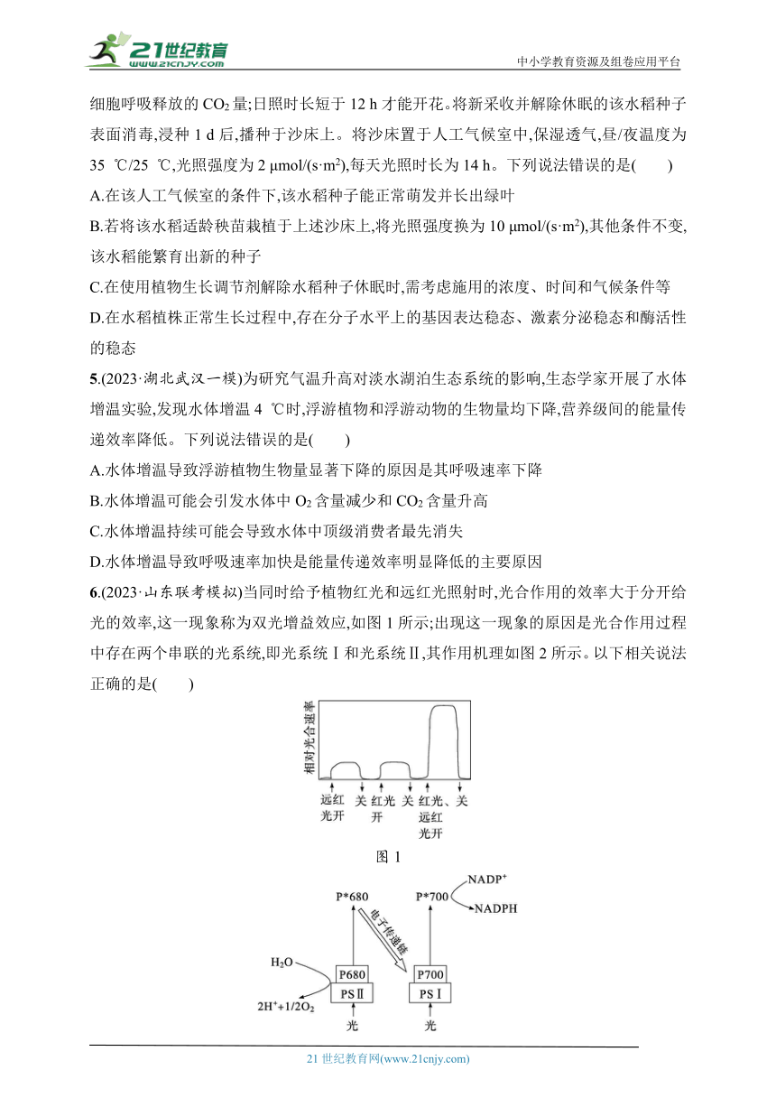 【备考2024】高中生物二轮专题练习  4.细胞呼吸和光合作用（含解析）