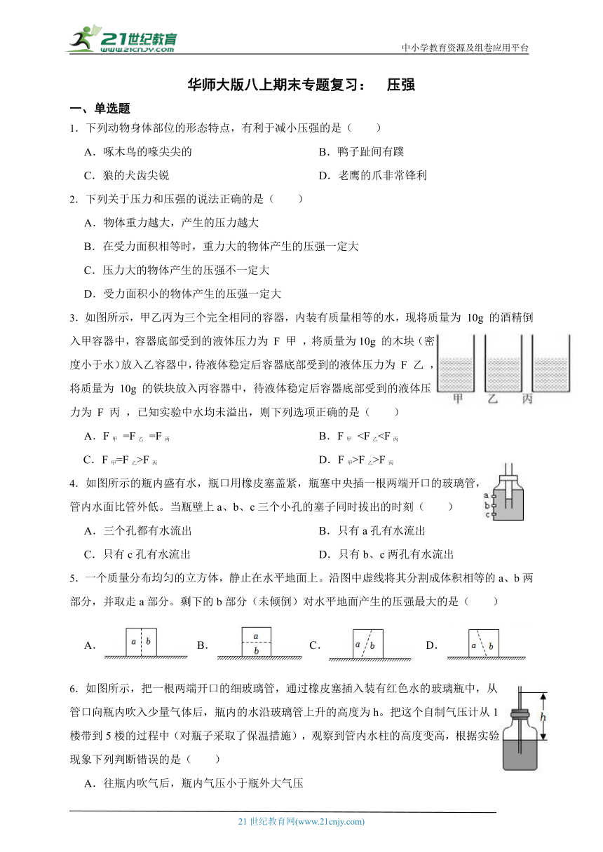 华师大版科学八上期末专题复习：压强（含答案）