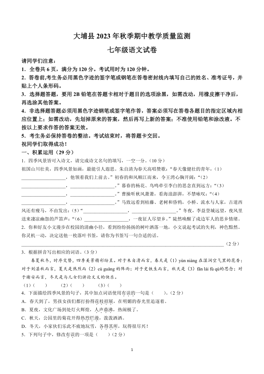 广东省梅州市大埔县2023-2024学年七年级上学期期中语文试题（含答案）