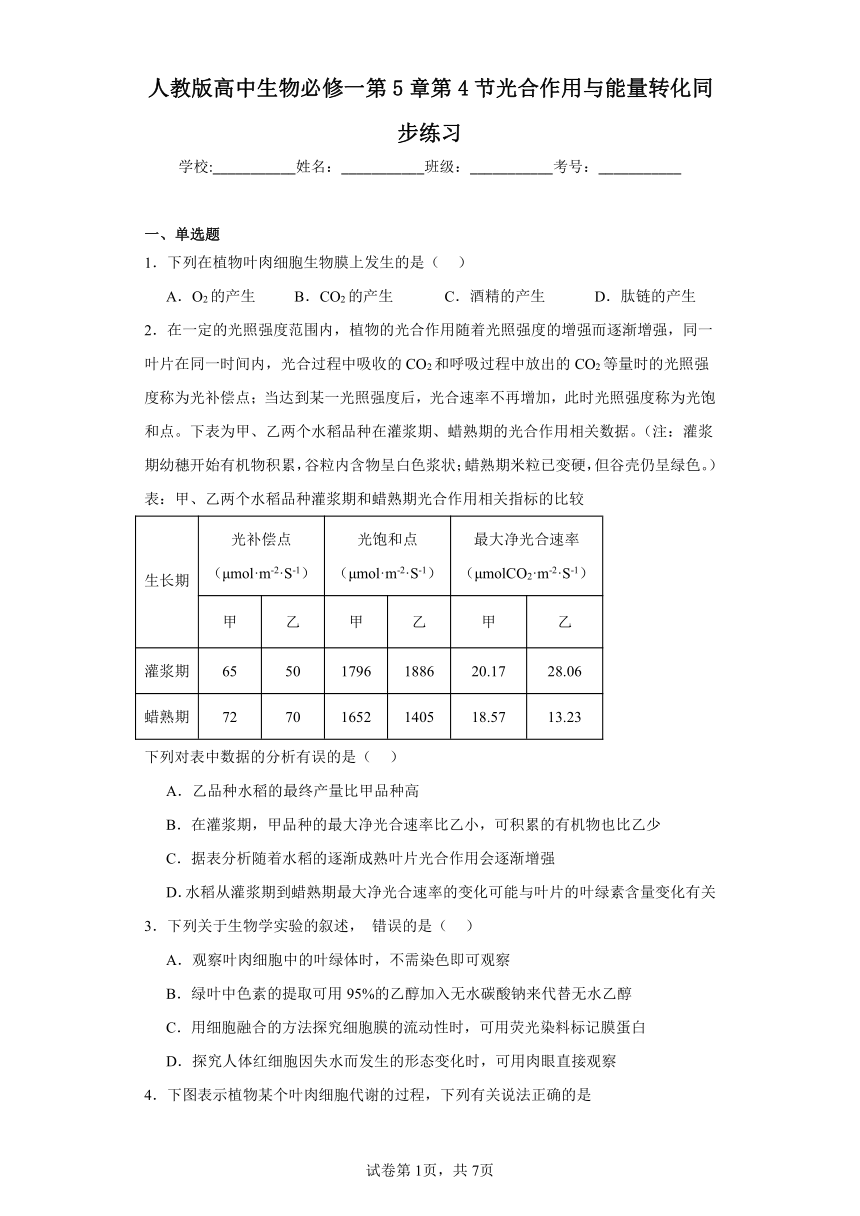 人教版高中生物必修一第5章第4节光合作用与能量转化同步练习（含答案）