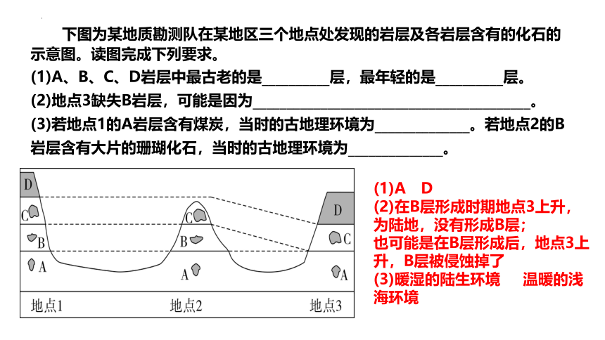 1.3 地球的历史 课件 2023-2024学年高一地理人教版（2019）必修第一册(共47张PPT)