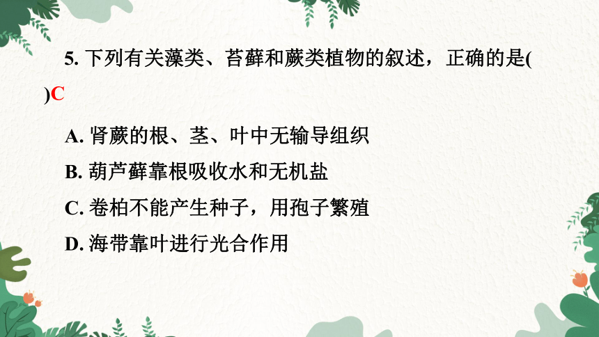 3.1.1 藻类、苔藓和蕨类植物习题课件(共21张PPT)人教版生物七年级上册