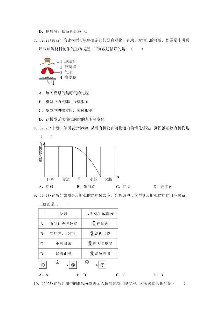 专题4人体系统——2022-2023年湖北省中考生物试题分类（word版+解析版）