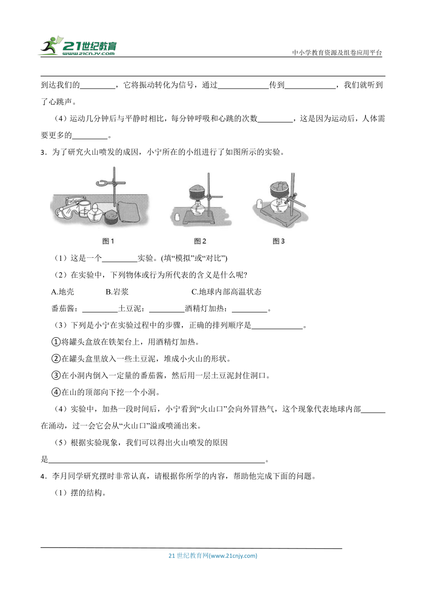 教科版五年级上册科学期末实验探究题专题训练（含答案）