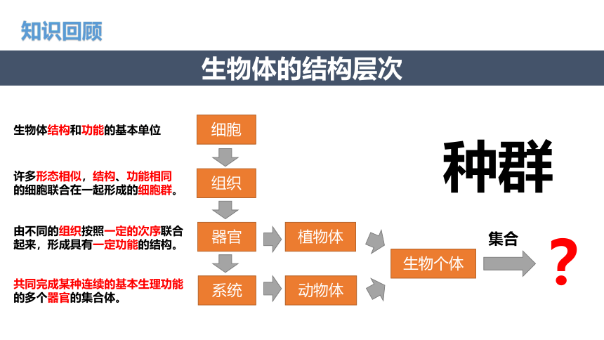 5.1种群和群落--华师大版初中科学七下同步课件