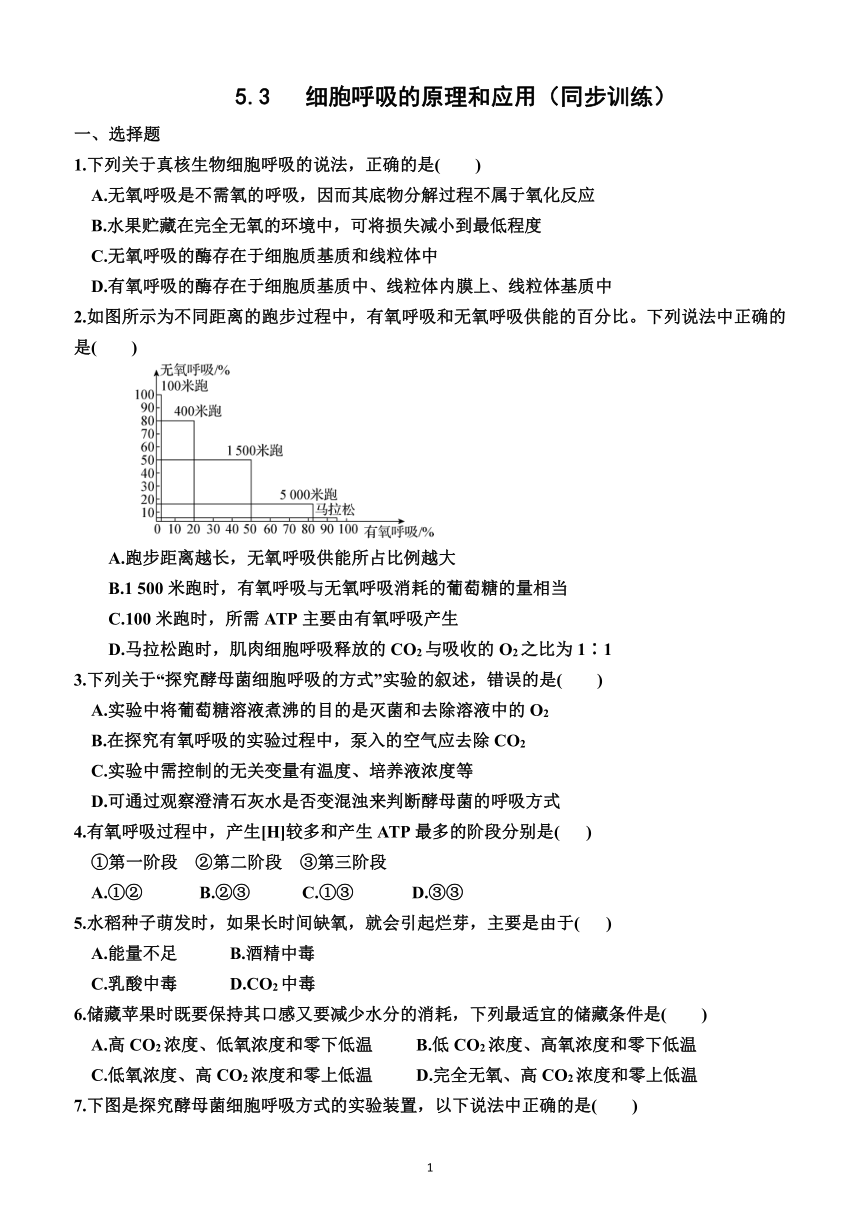 5.3   细胞呼吸的原理和应用（同步训练）（附解析）——2023—2024学年人教版（2019）生物高一上学期必修1