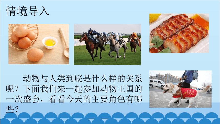 5.17.2我国的动物资源及保护课件（共21张PPT）北师大版生物八年级上册