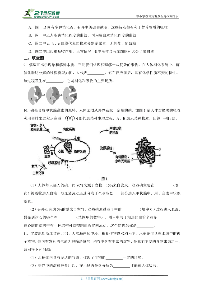 华师大版科学八上期末专题复习：食物的消化和吸收（含答案）