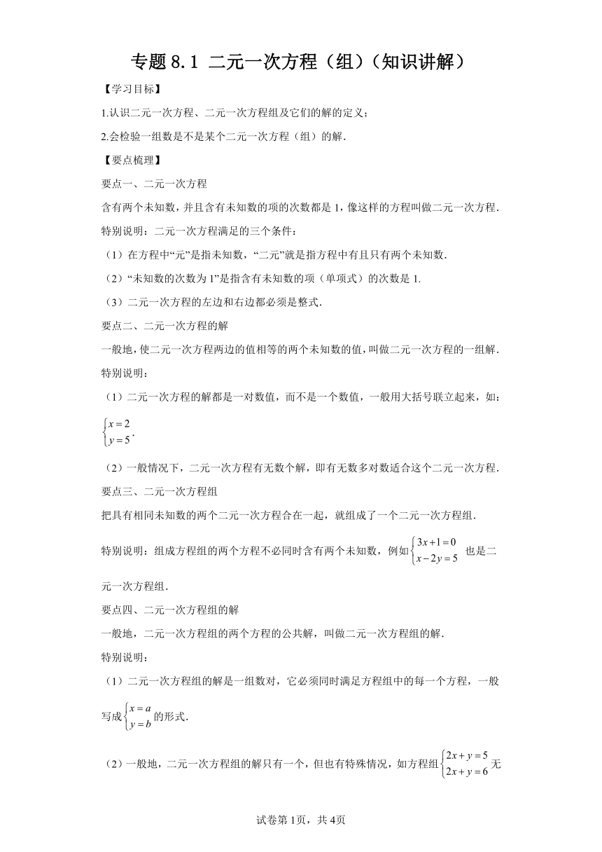 专题8.1二元一次方程（组） 知识讲解（含解析）2023-2024学年七年级数学下册人教版专项讲练