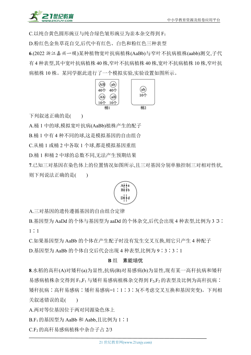 2025浙科版新教材生物学高考第一轮基础练--作业23　自由组合定律及其应用（含解析）