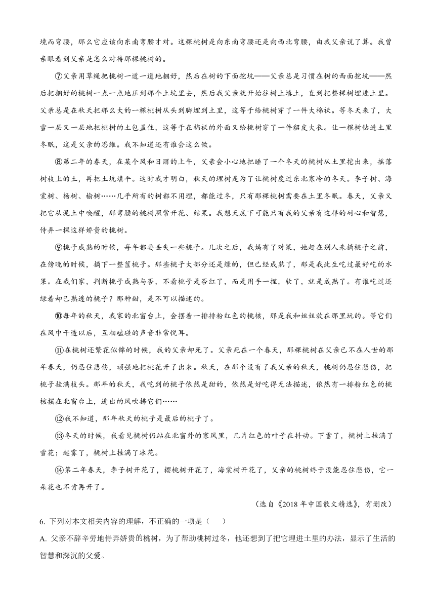 海南省儋州市川绵中学2022-2023学年高二下学期期末考试语文试题（含解析）