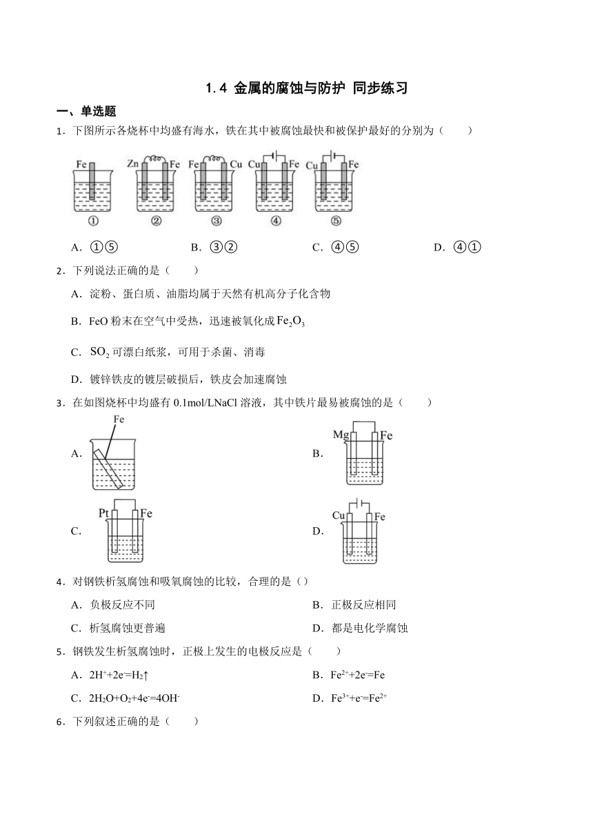 1.4 金属的腐蚀与防护 （含解析）同步练习2023-2024学年上学期高二化学鲁科版（2019）选择性必修1