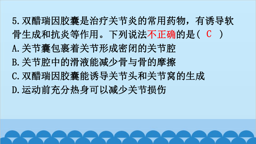 期末过关训练课件(共43张PPT)北师大版生物八年级上册