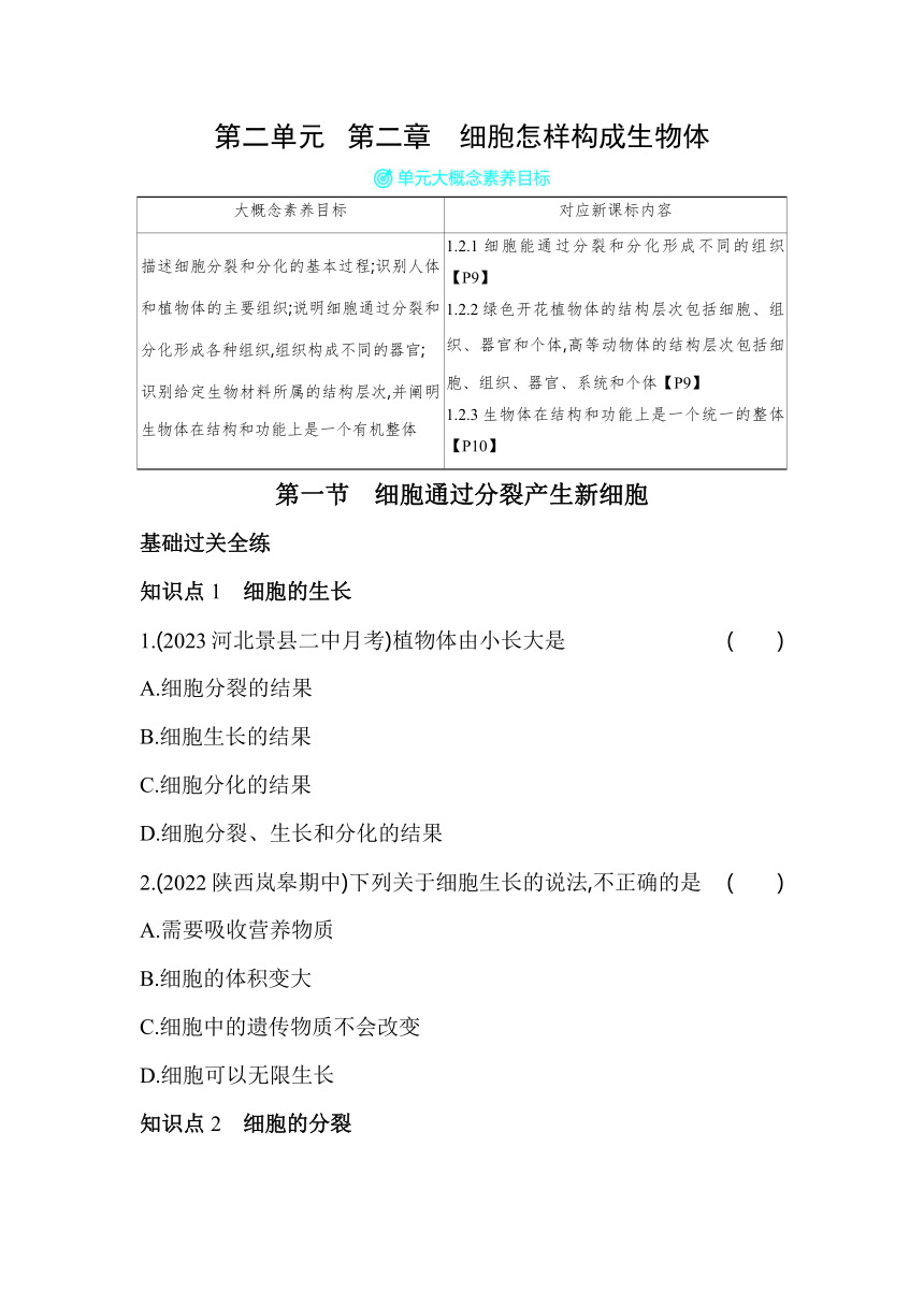 2.2.1细胞通过分裂产生新细胞 素养提升练（含解析）人教版生物七年级上册