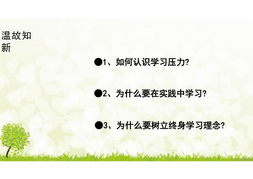 （核心素养目标）6.2 多彩的职业 课件（34张PPT）