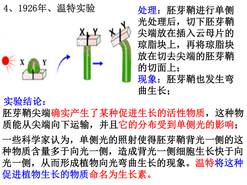 4.1植物生长素课件(共42张PPT) 2023-2024学年高二上学期生物苏教版选择性必修1