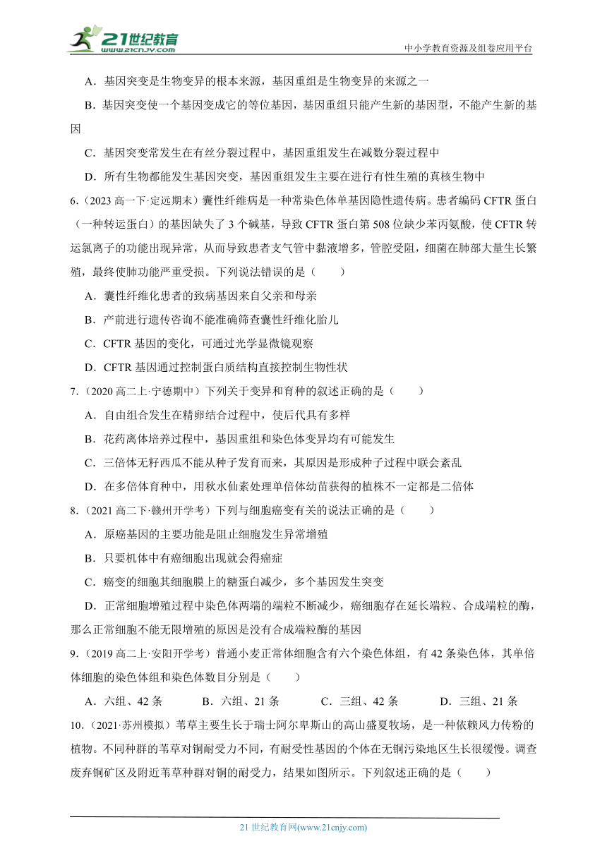 浙科版（2019）高中生物必修2遗传与进化第四、五章综合必刷题(含解析）