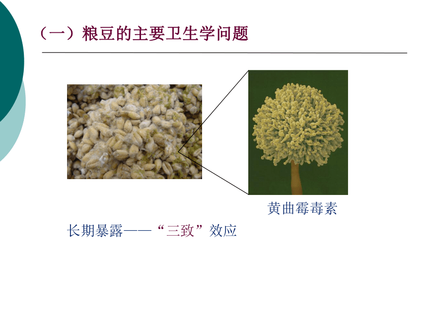 11各类食品卫生及其管理-1 课件(共32张PPT)- 《营养与食品卫生学》同步教学（人卫版·第7版）