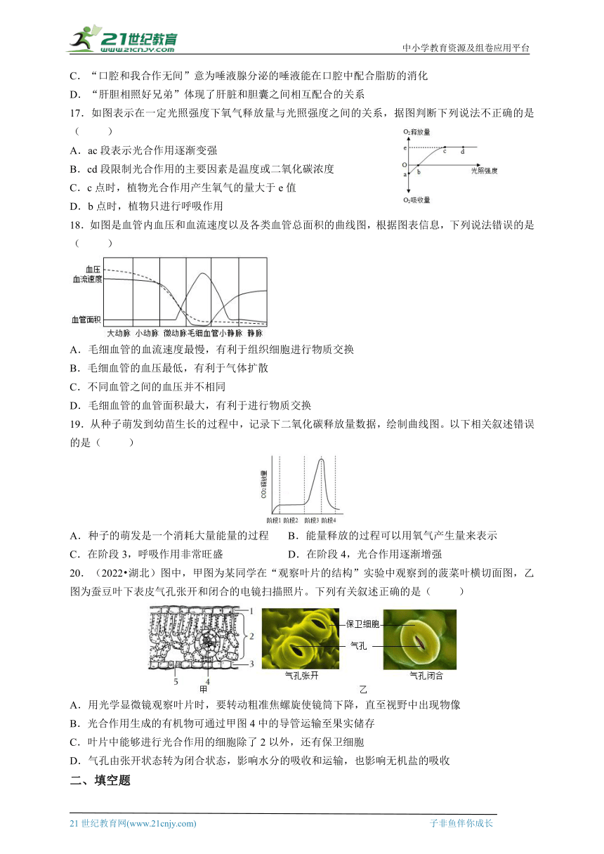 2024中考科学冲刺之生物的物质和能量专题（含答案）