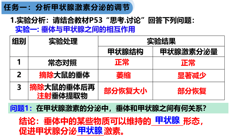 3.2激素调节的过程第2课时课件（共18张PPT1个视频）2023-2024学年高二上学期生物人教版选择性必修1