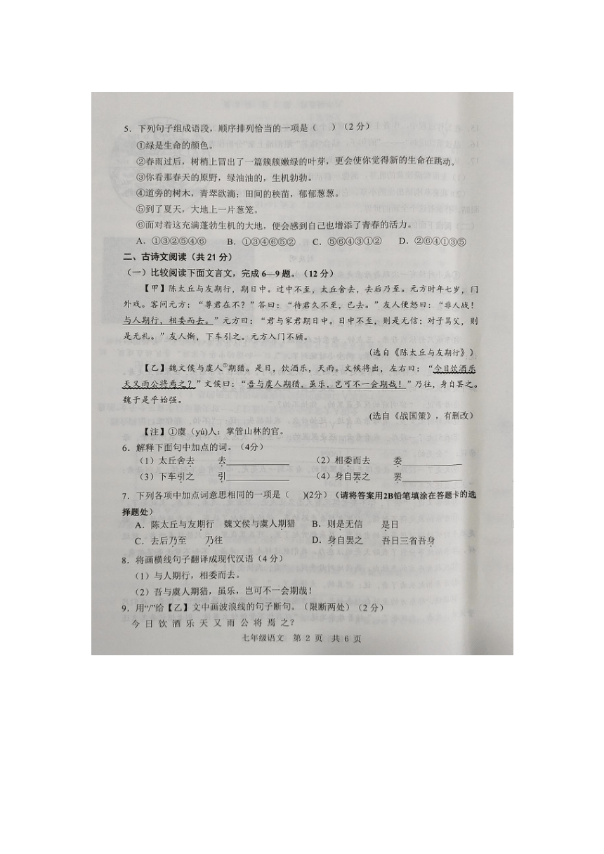 2023-2024上学期山东省济宁市金乡县七年级语文10月月考试题（图片版，含答案）