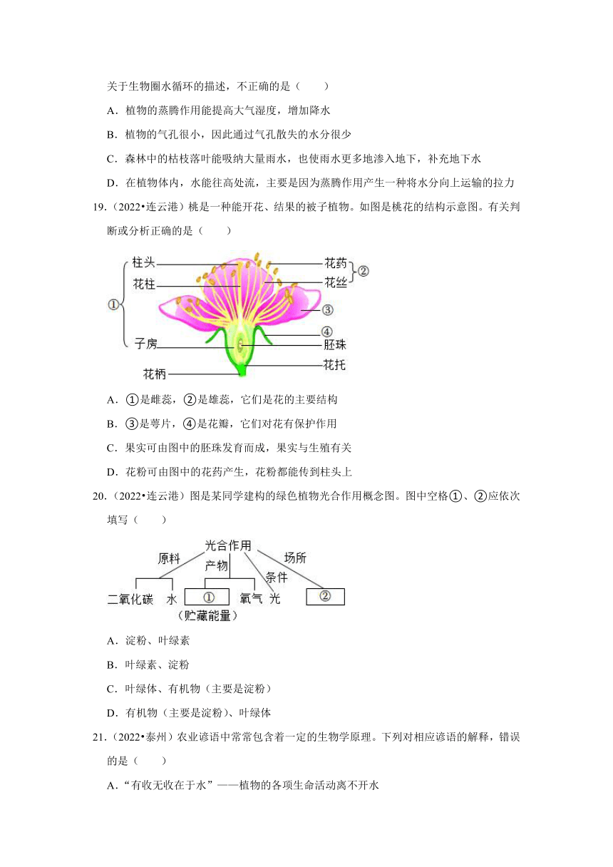 专题3绿色植物——2022-2023年江苏省中考生物试题分类（含解析）