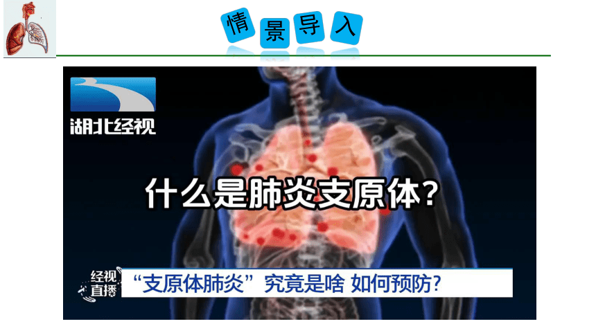 7.2 人体的呼吸（第一课时）2023-2024学年七年级生物上册同步精品课件（苏科版）(共25张PPT)+视频素材