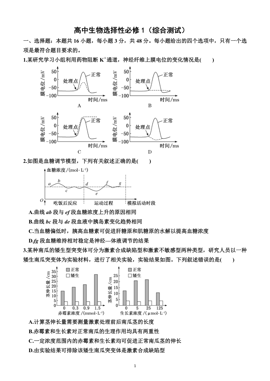 高中生物选择性必修1（综合测试）（附答案解析）—2023-2024学年高二上学期生物选择性必修1（人教版(2019））